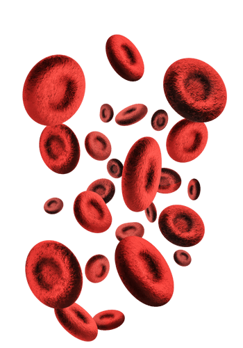 Red blood cells