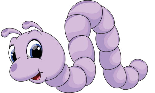 Biba