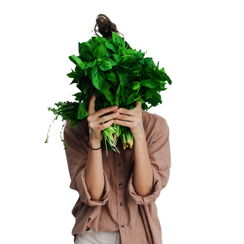 omega-3 vegan v