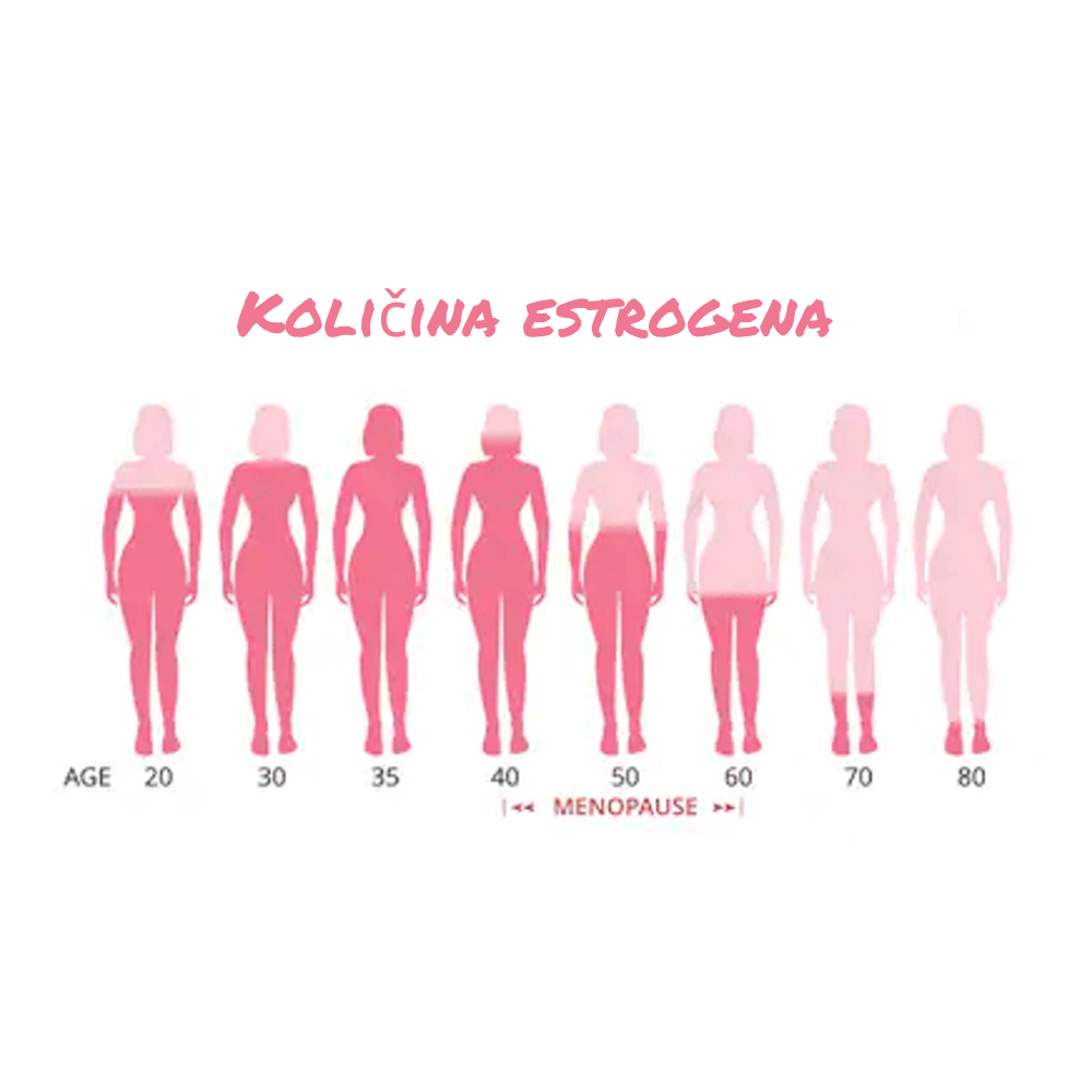 Estrogen