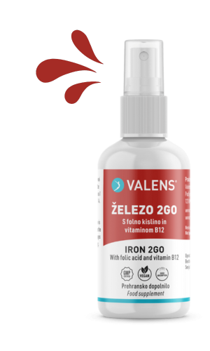 Železo 2Go Železo 2Go